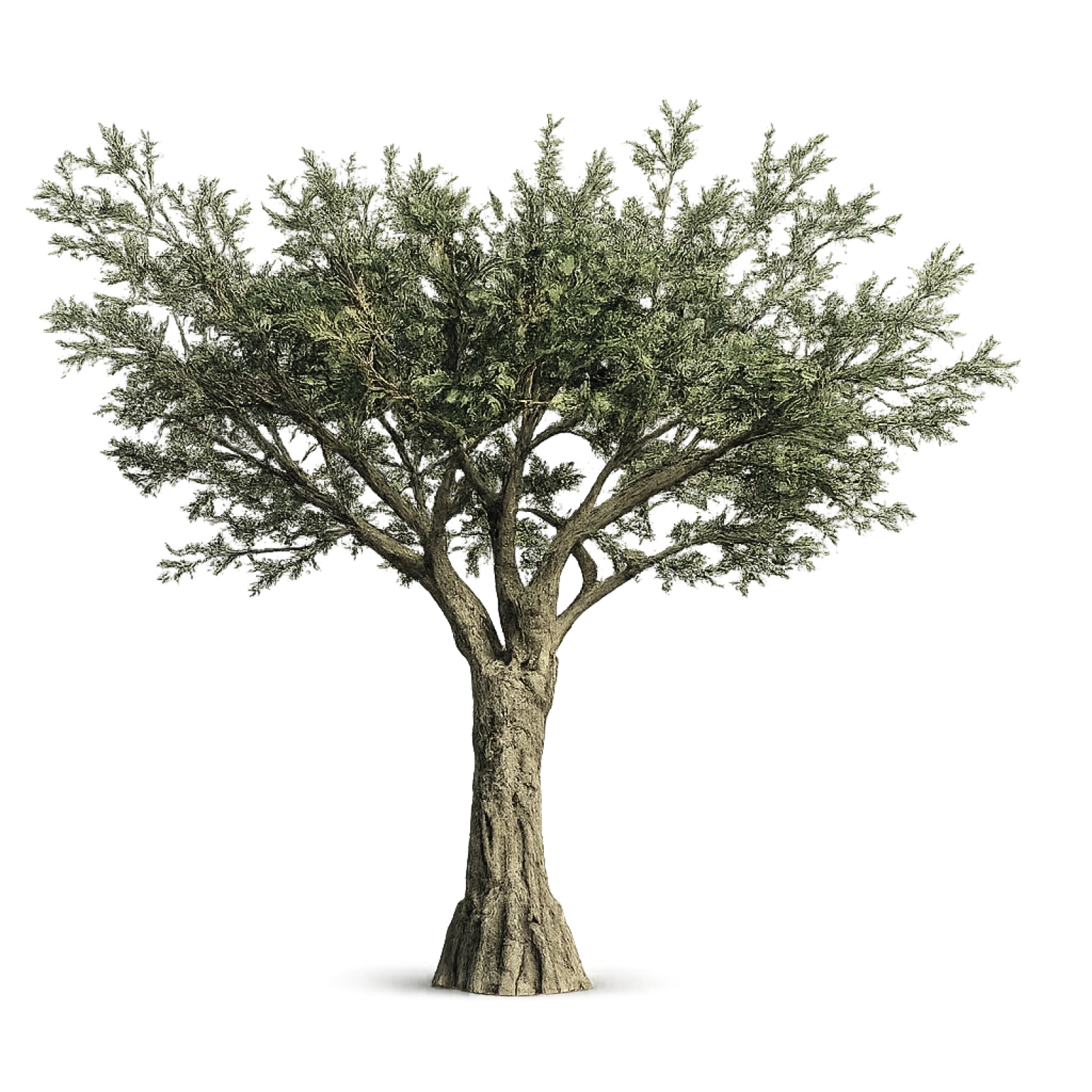 Árbol Fibra de Vidrio para Restaurante Mexicano - MF Imports